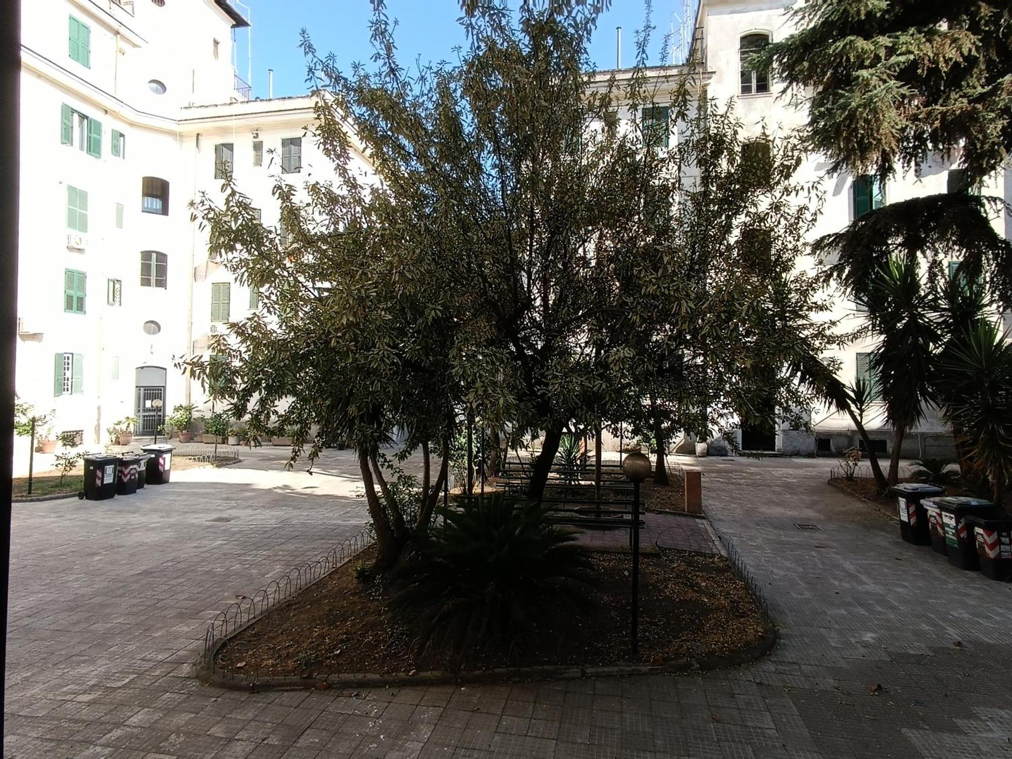 Appartamento Testaccio Charme Roma